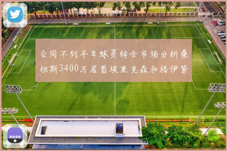 合同不到半年球员转会市场分析桑切斯3400万居首埃里克森和格伊紧随其后